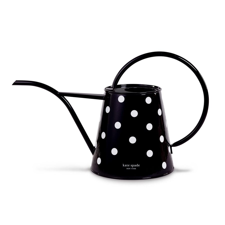 Gardening Tools Watering Can - 2.5 Liter Indoor Watering Can, Metal