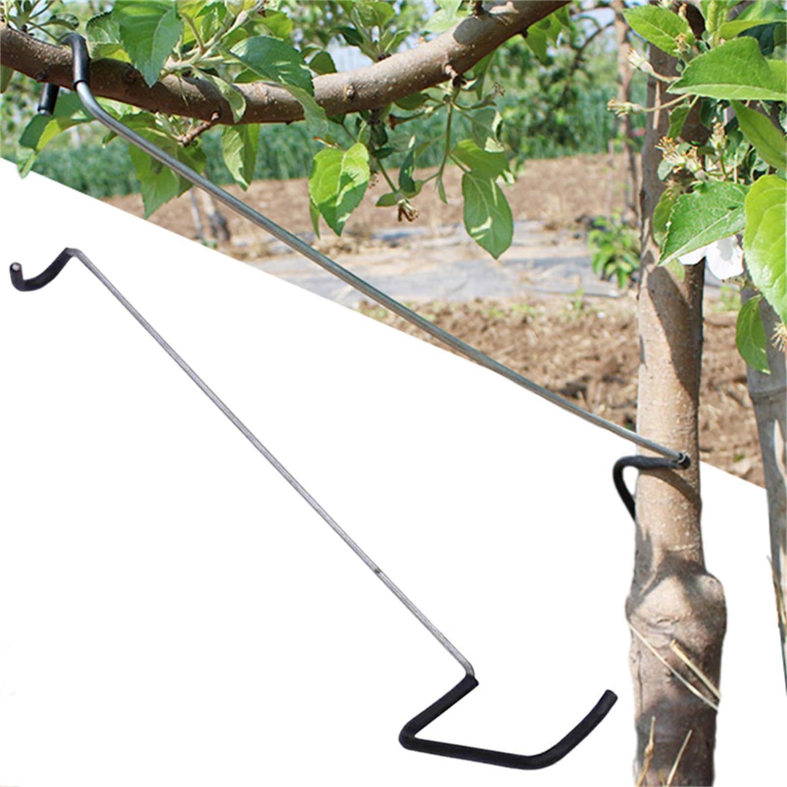 Gardening Tools Shop - Fruit Tree Branch Spreader 10Pcs/set Garden
