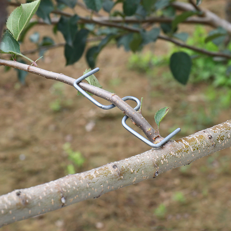 Gardening Tools Shop - 30pcs/set Fruit Tree Branch Puller Hook