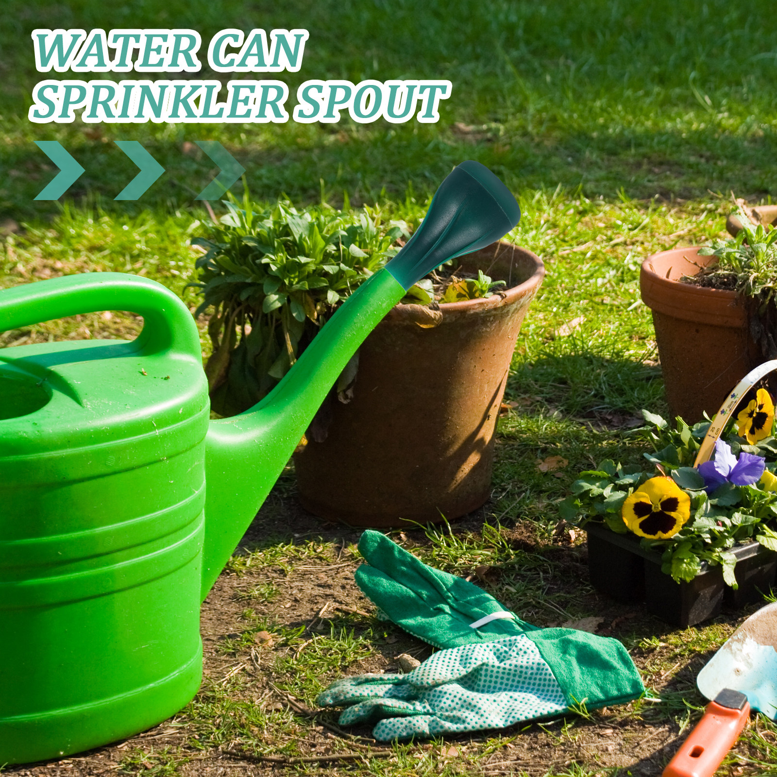 Water Can Sprinkler Head Compa - Gardening Tools Watering Can avis et prix