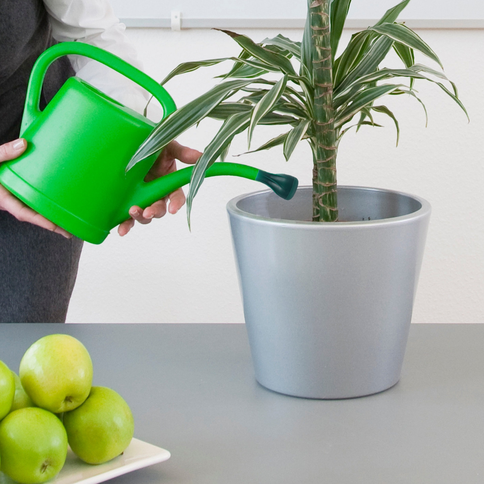 Water Can Sprinkler Head Compa - Gardening Tools Watering Can avis et prix