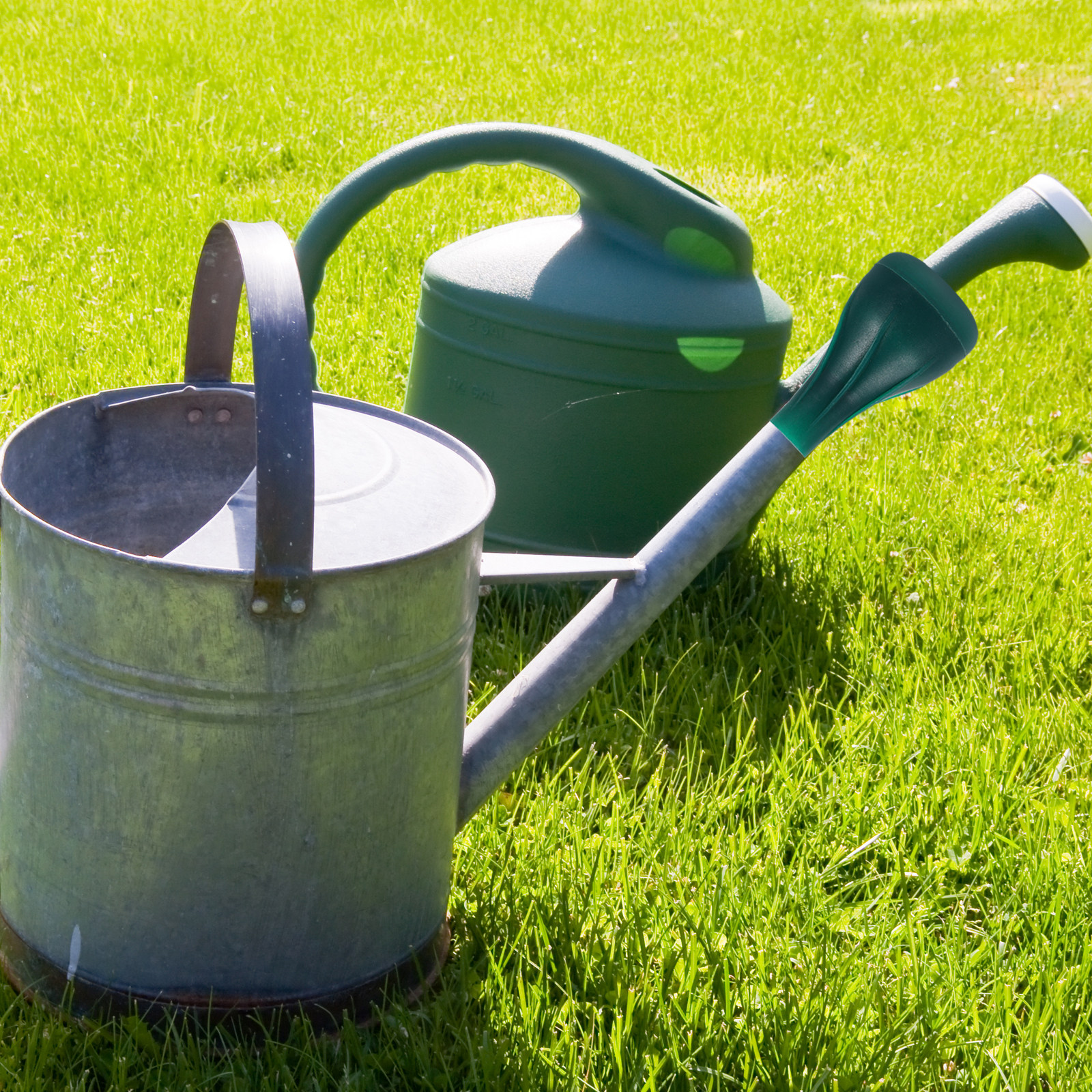 Water Can Sprinkler Head Compa - Gardening Tools Watering Can avis et prix