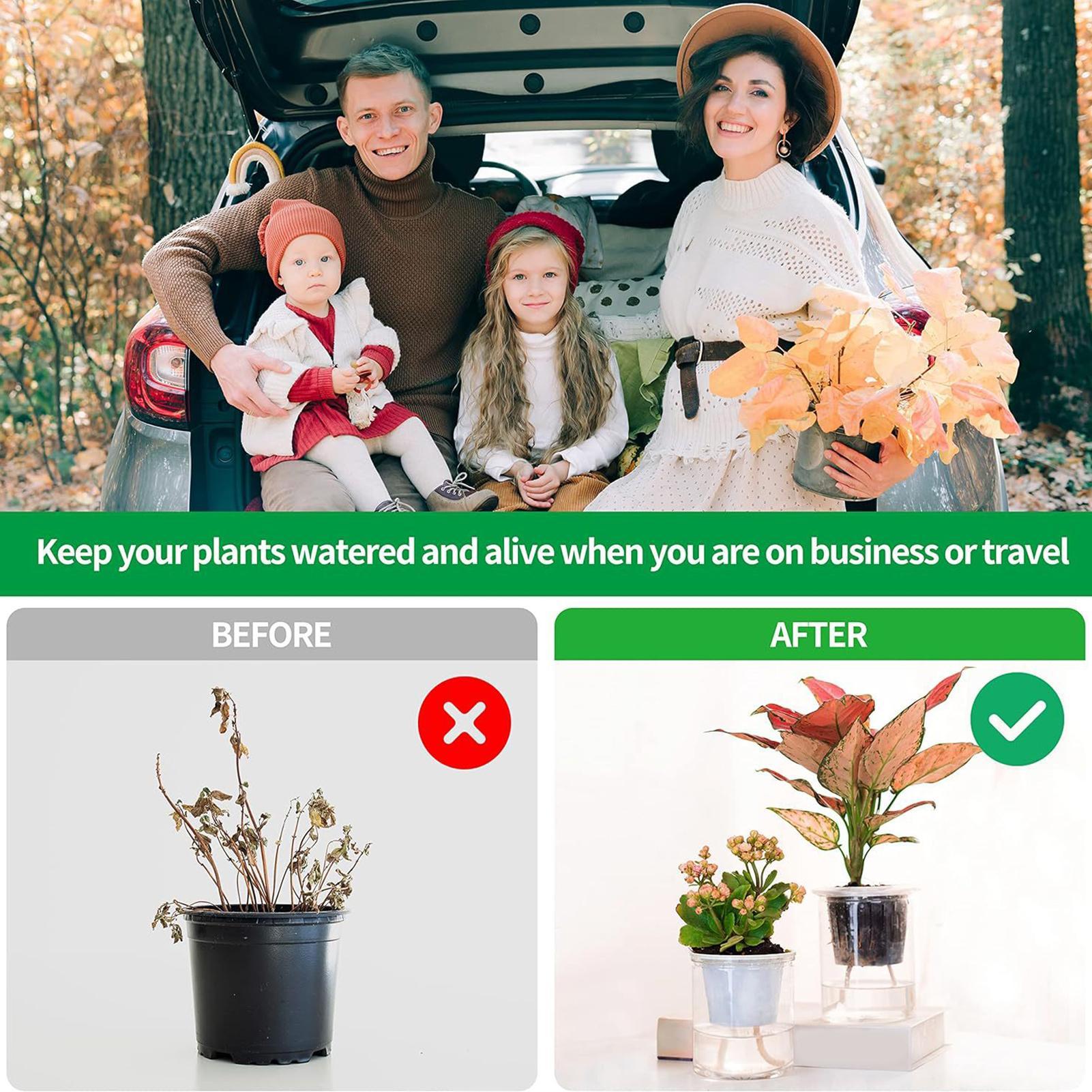 Plant Wicks For Self Watering  - Self-Watering Planter avis et prix
