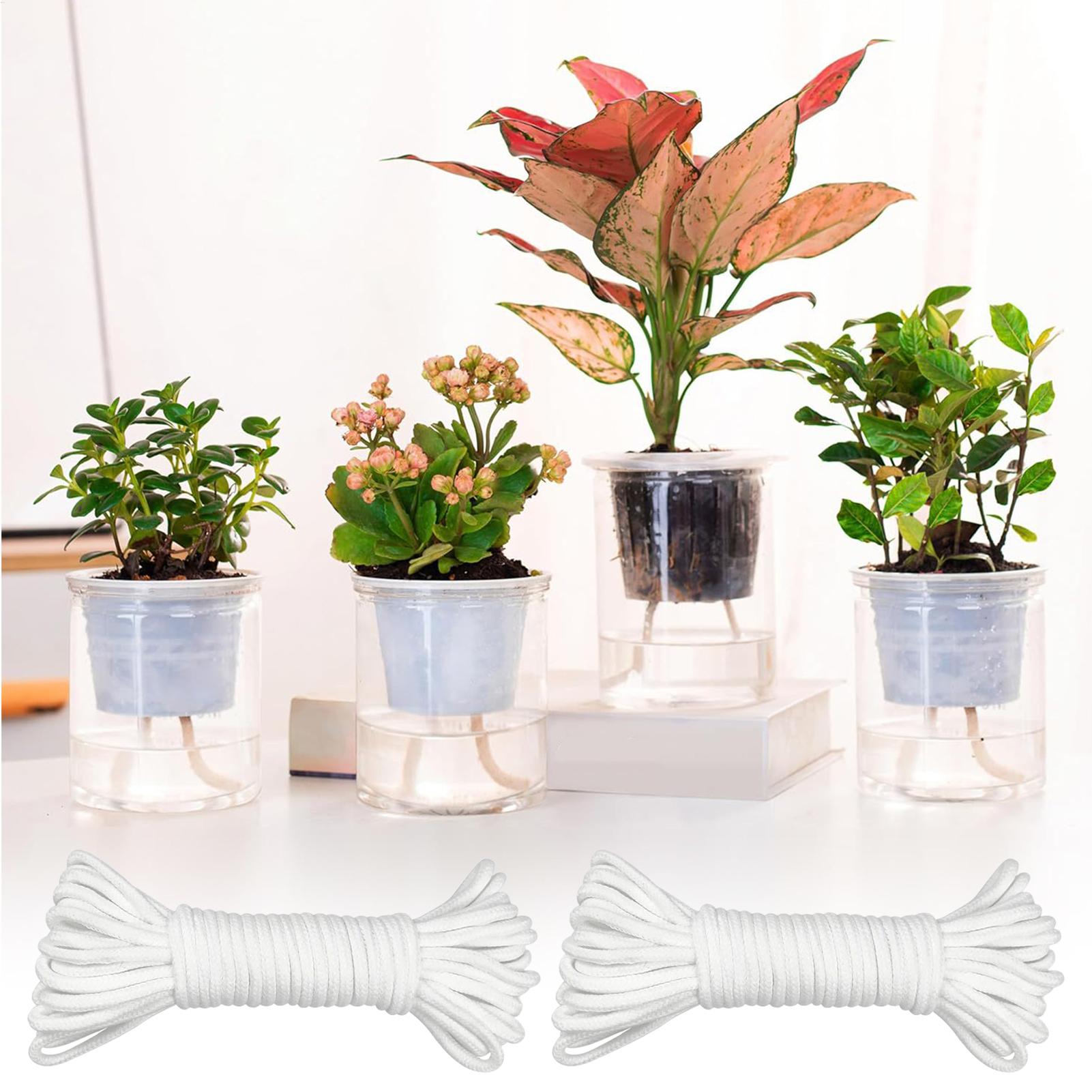 Plant Wicks For Self Watering  - Self-Watering Planter avis et prix
