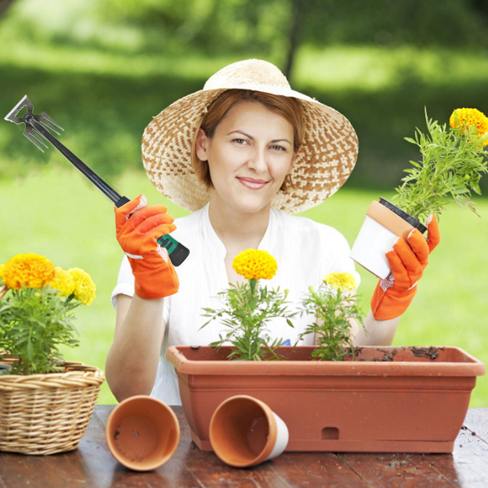 5/6/11 Tines Gardening Hand We - Weed Puller avis et prix
