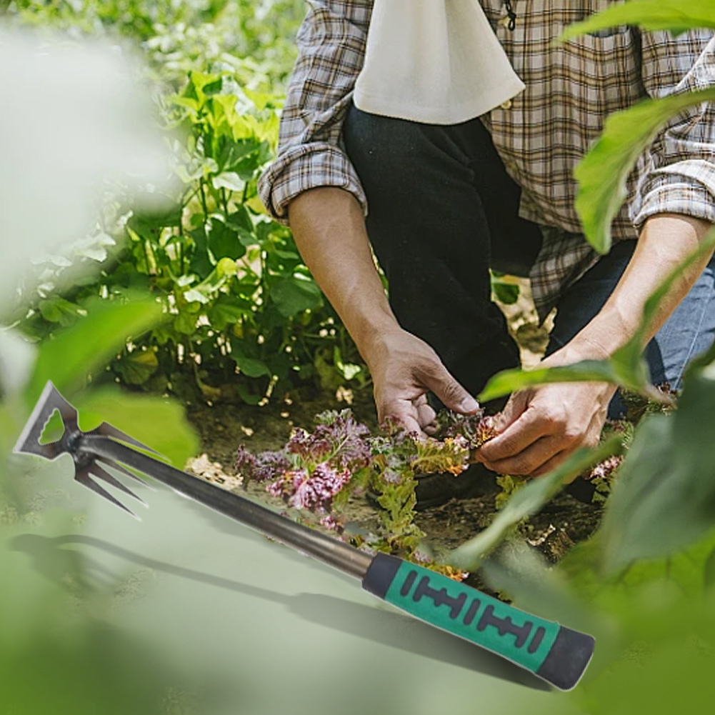 5/6/11 Tines Gardening Hand We - Weed Puller avis et prix