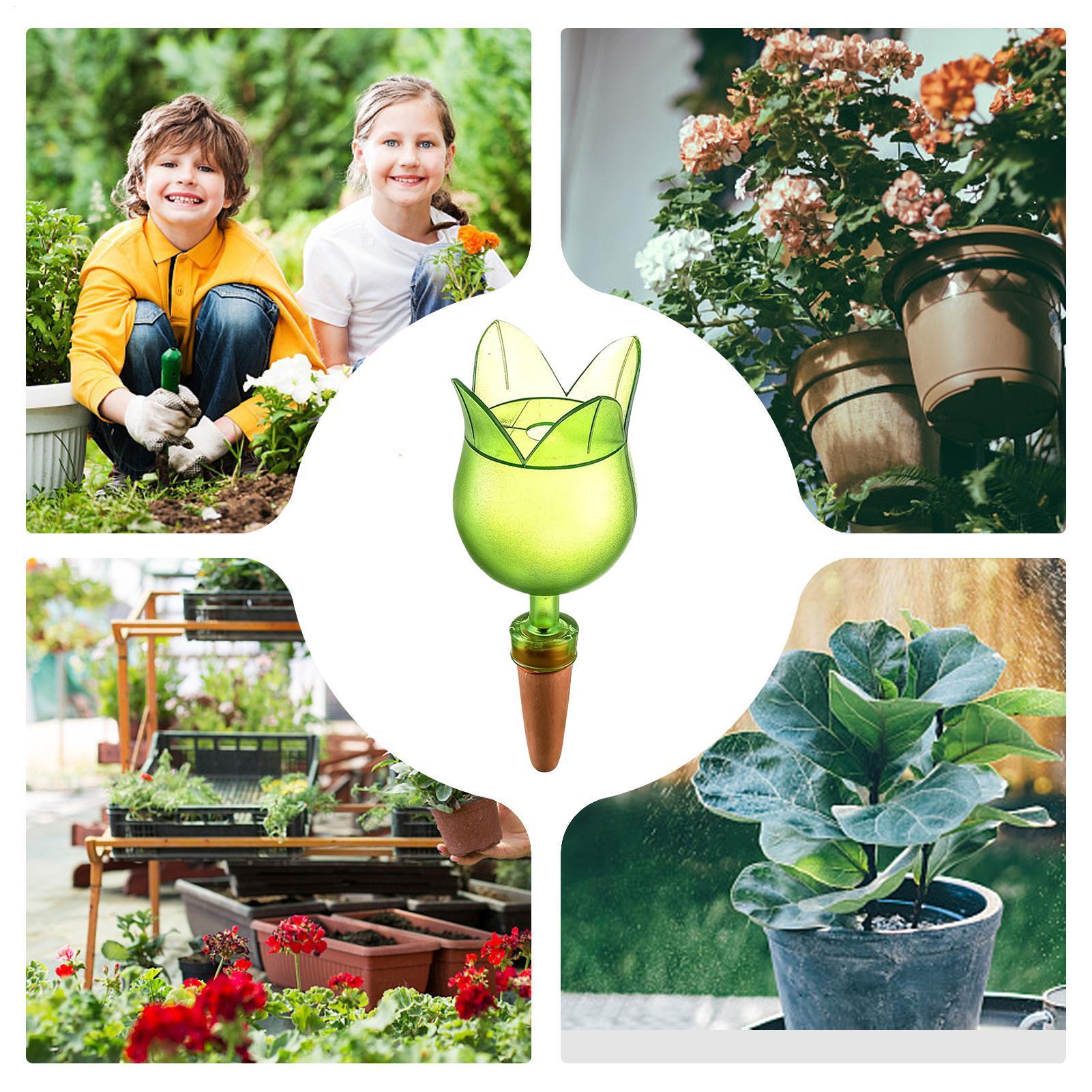 Plant Self Watering Devices Pl - Self-Watering Planter avis et prix