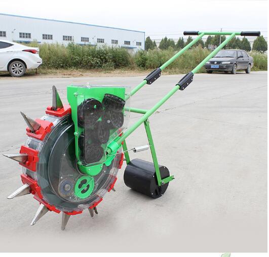 DD2244  Plants Cabbage Spreade - Garden Row Marker avis et prix