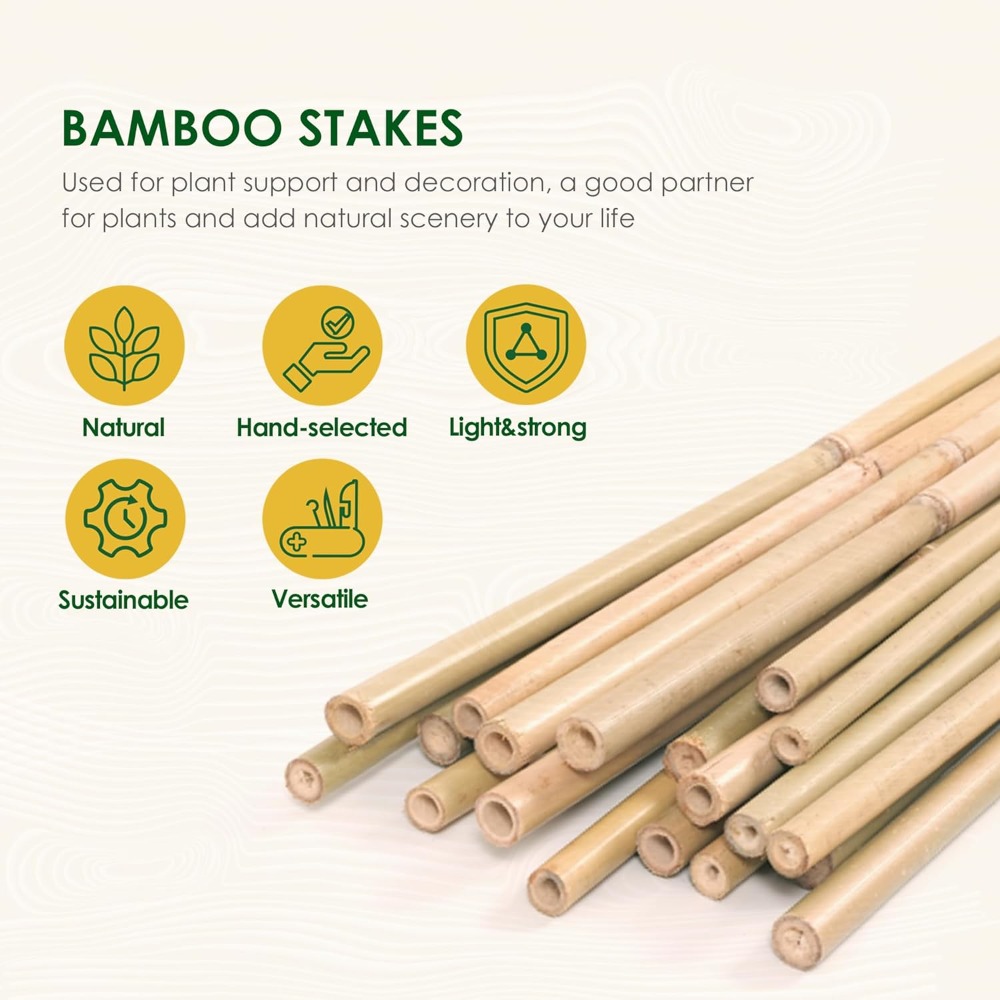7ft Bamboo Stakes for Tomatoes - Plant Support Stake avis et prix
