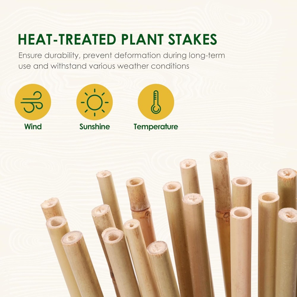 7ft Bamboo Stakes for Tomatoes - Plant Support Stake avis et prix
