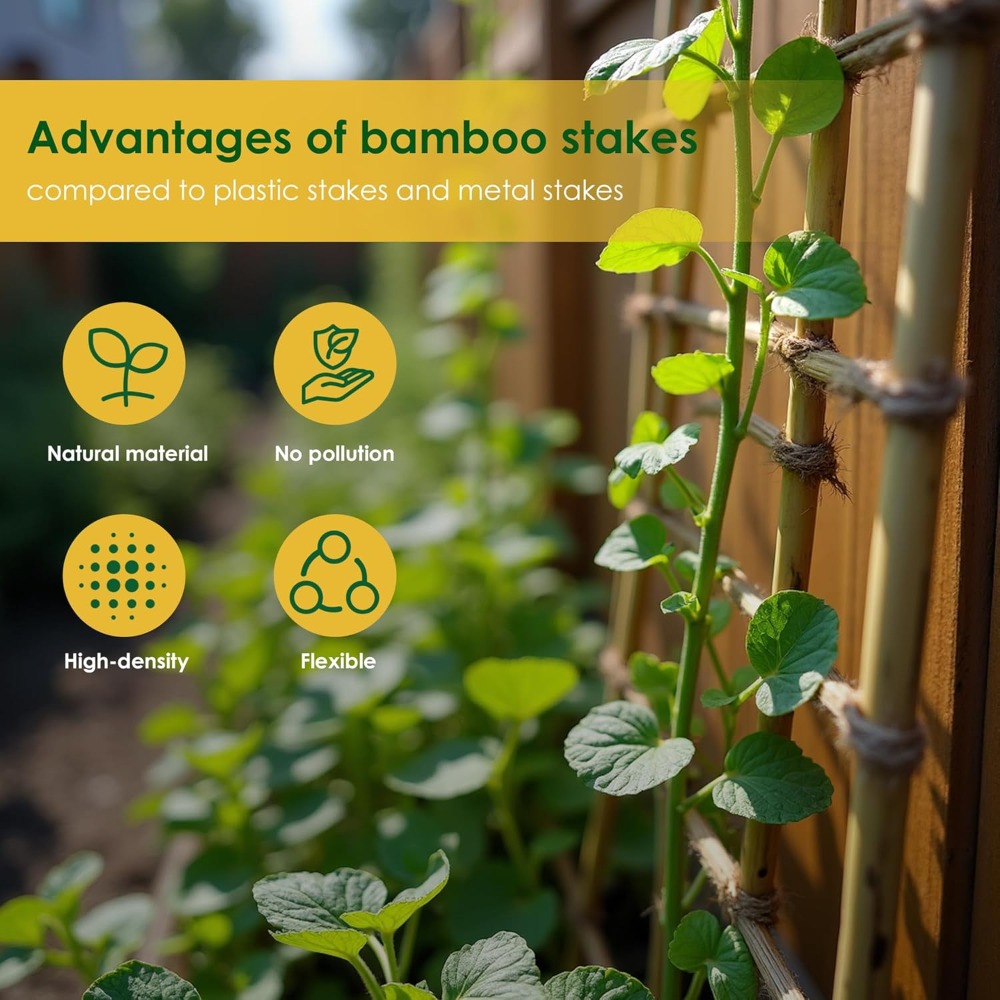 7ft Bamboo Stakes for Tomatoes - Plant Support Stake avis et prix