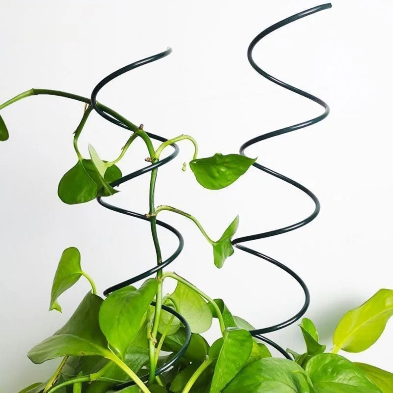 4Pcs 40cm Spiral Garden Plant  - Plant Support Stake avis et prix
