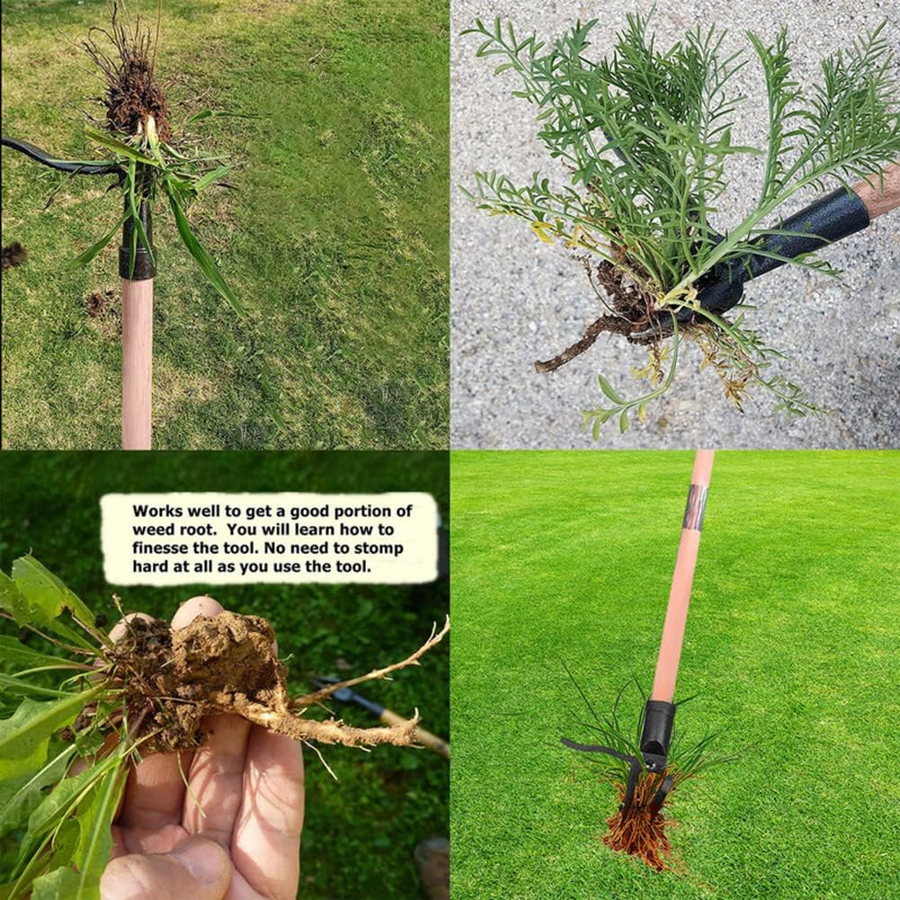 Stand Up Weed Puller Tool Deta - Weed Puller avis et prix