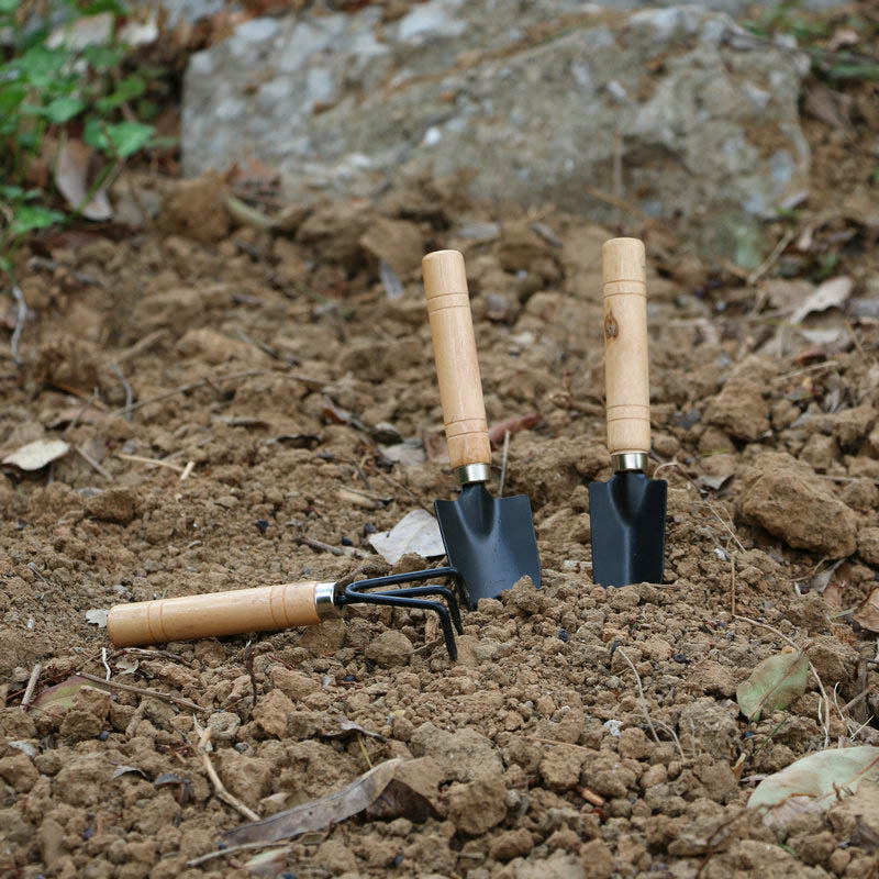3Pcs/Set Mini Garden Tool Set  - Gardening Tools Shop avis et prix