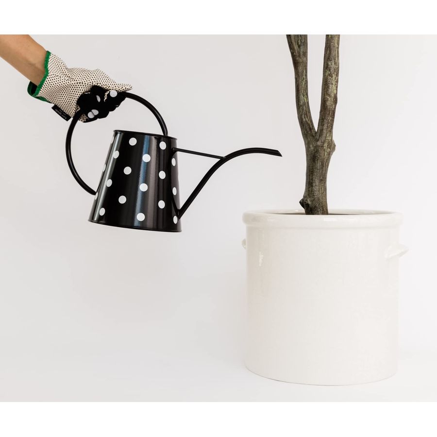 2.5 Liter Indoor Watering Can, - Gardening Tools Watering Can avis et prix