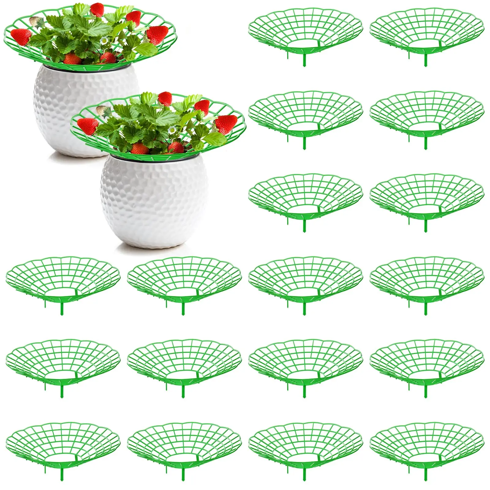 10PCS Vegetable Growing Rack G - Gardening Tools Rack avis et prix