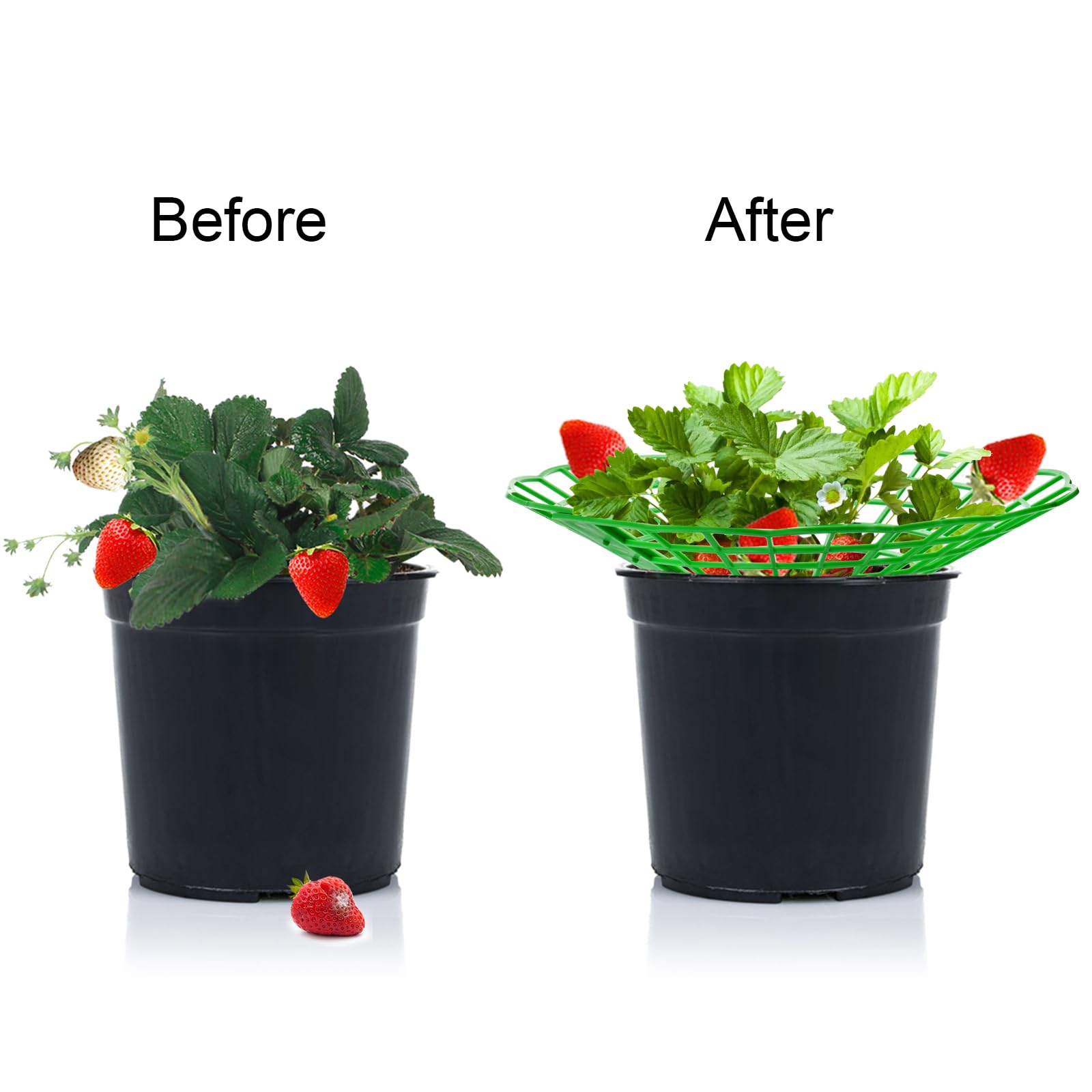 10PCS Vegetable Growing Rack G - Gardening Tools Rack avis et prix