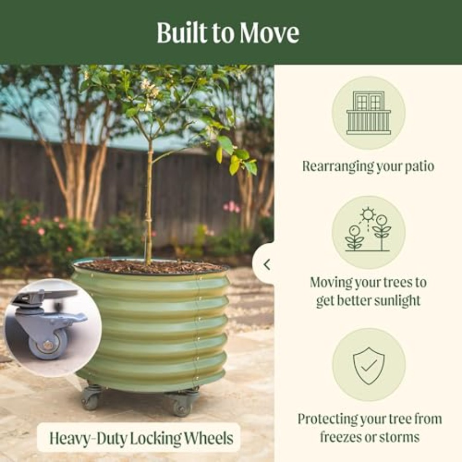 Rolling Metal Citrus Tree Plan - Self-Watering Planter avis et prix