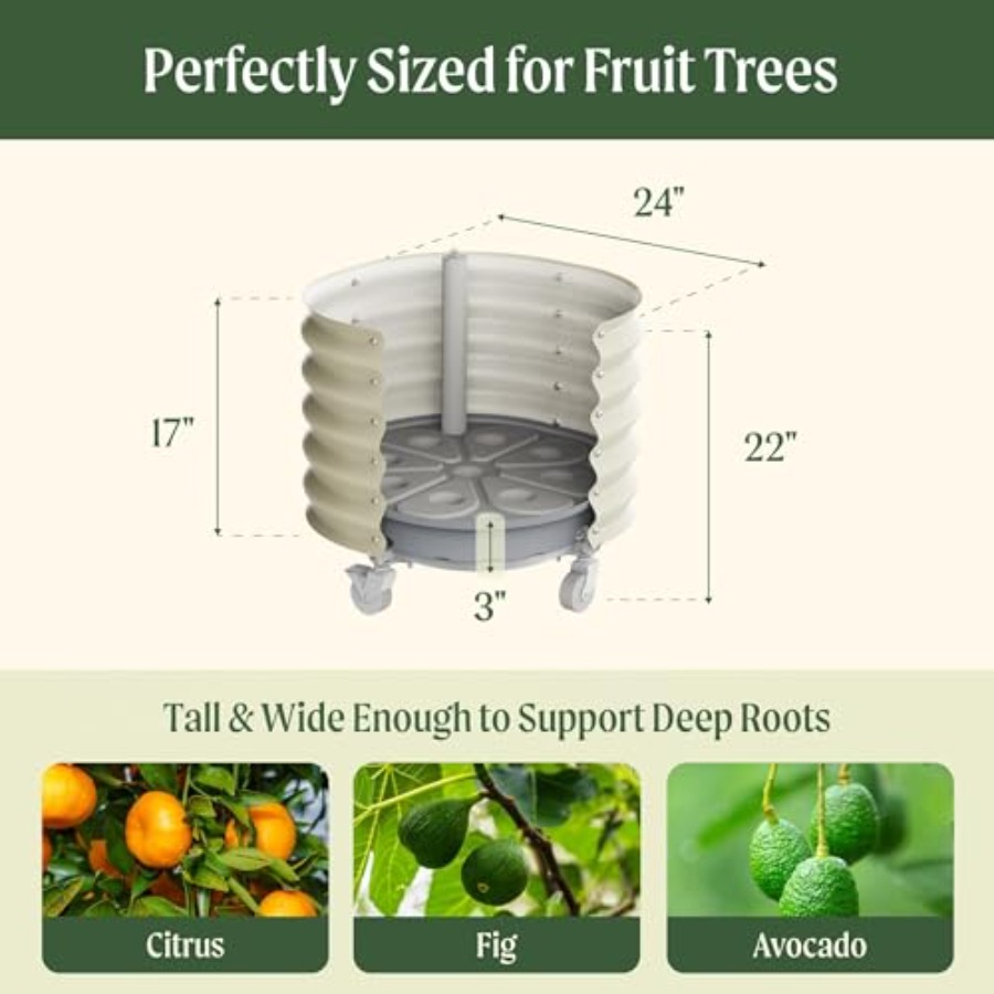 Rolling Metal Citrus Tree Plan - Self-Watering Planter avis et prix