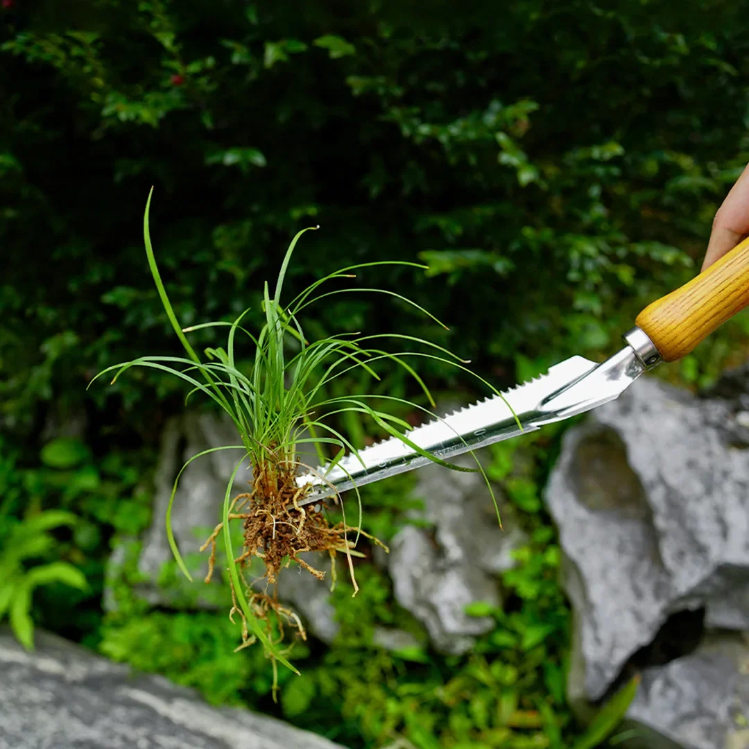 Garden Weeding Tools Stainless - Weed Puller avis et prix