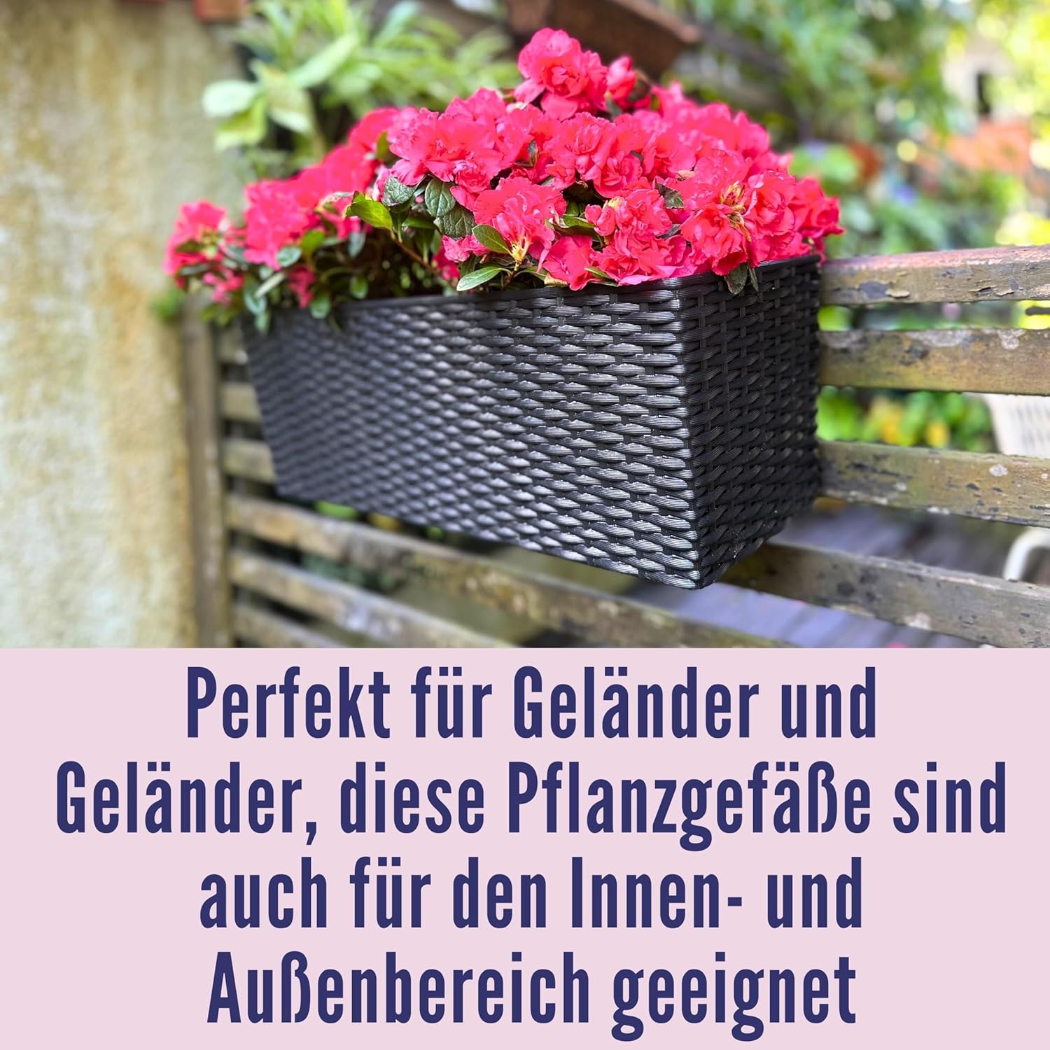 Outdoor Rail Planter for Balco - Self-Watering Planter avis et prix