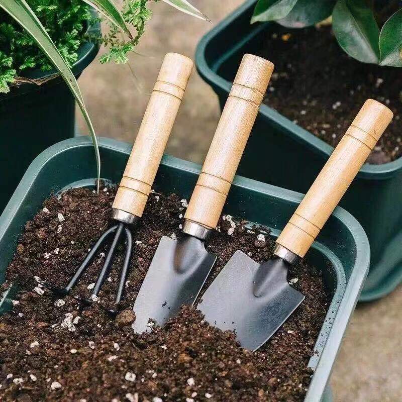 3Pcs Mini Gardening Tool Set w - Gardening Tools Set avis et prix