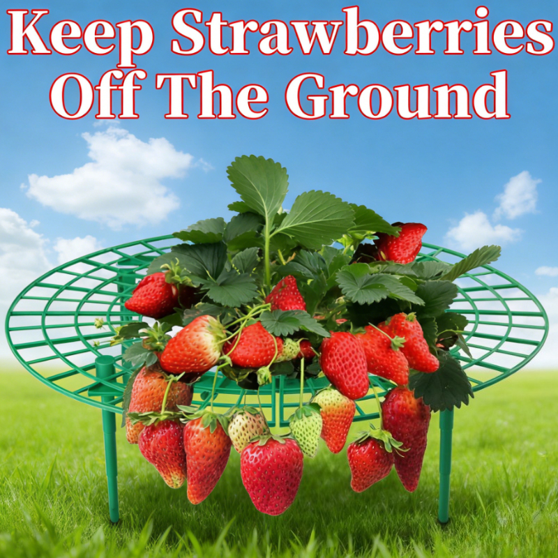 1Pc Strawberry Plant Support R - Gardening Tools Rack avis et prix