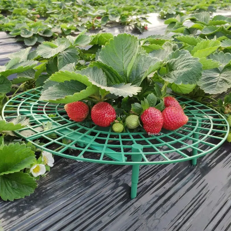 1Pc Strawberry Plant Support R - Gardening Tools Rack avis et prix