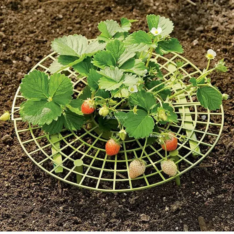 1Pc Strawberry Plant Support R - Gardening Tools Rack avis et prix