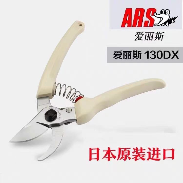 Pruning scissors, garden tools - Gardening Tools In Japan avis et prix