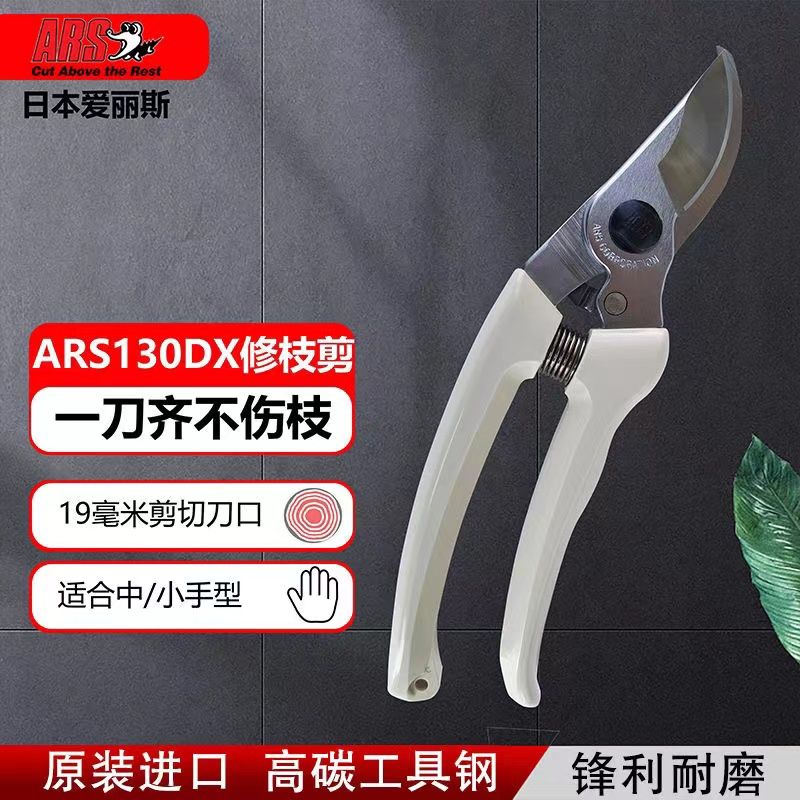 Pruning scissors, garden tools - Gardening Tools In Japan avis et prix