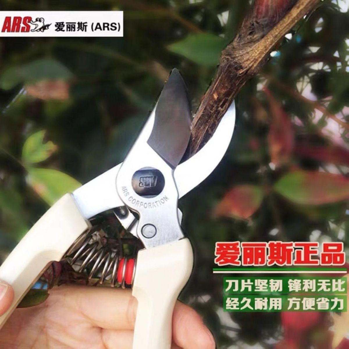 Pruning scissors, garden tools - Gardening Tools In Japan avis et prix