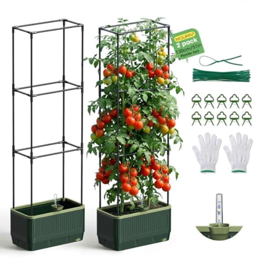 Pack Raised Garden Bed Tomato  - Self-Watering Planter avis et prix