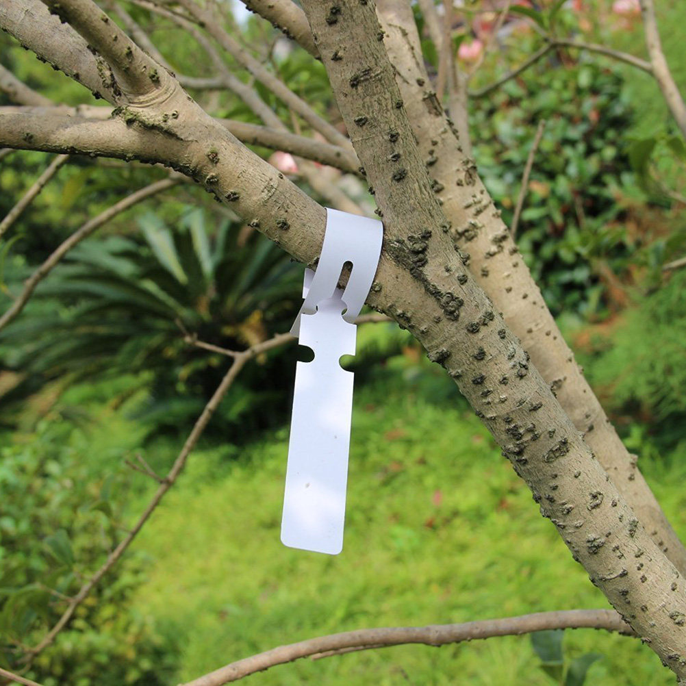 100Pcs PVC Waterproof Plant Ta - Garden Row Marker avis et prix