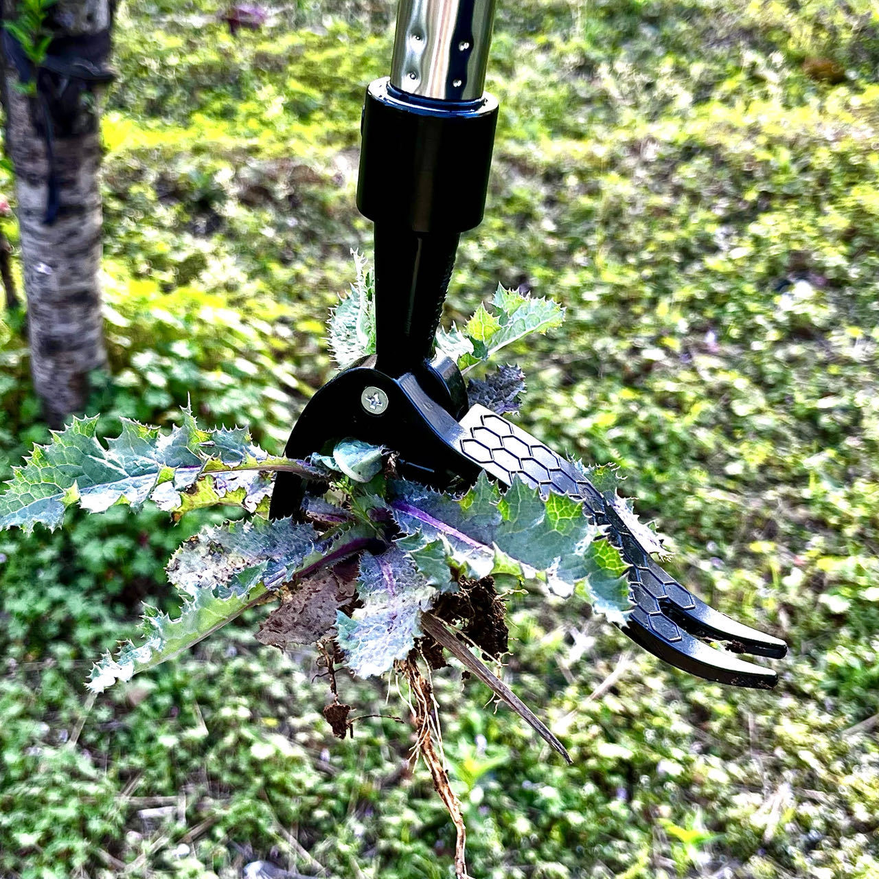 Save Labour Hand Metal Weed Ex - Gardening Tools You Need avis et prix