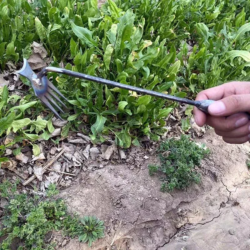 Garden Weeders Grass Hand Weed - Weed Puller avis et prix