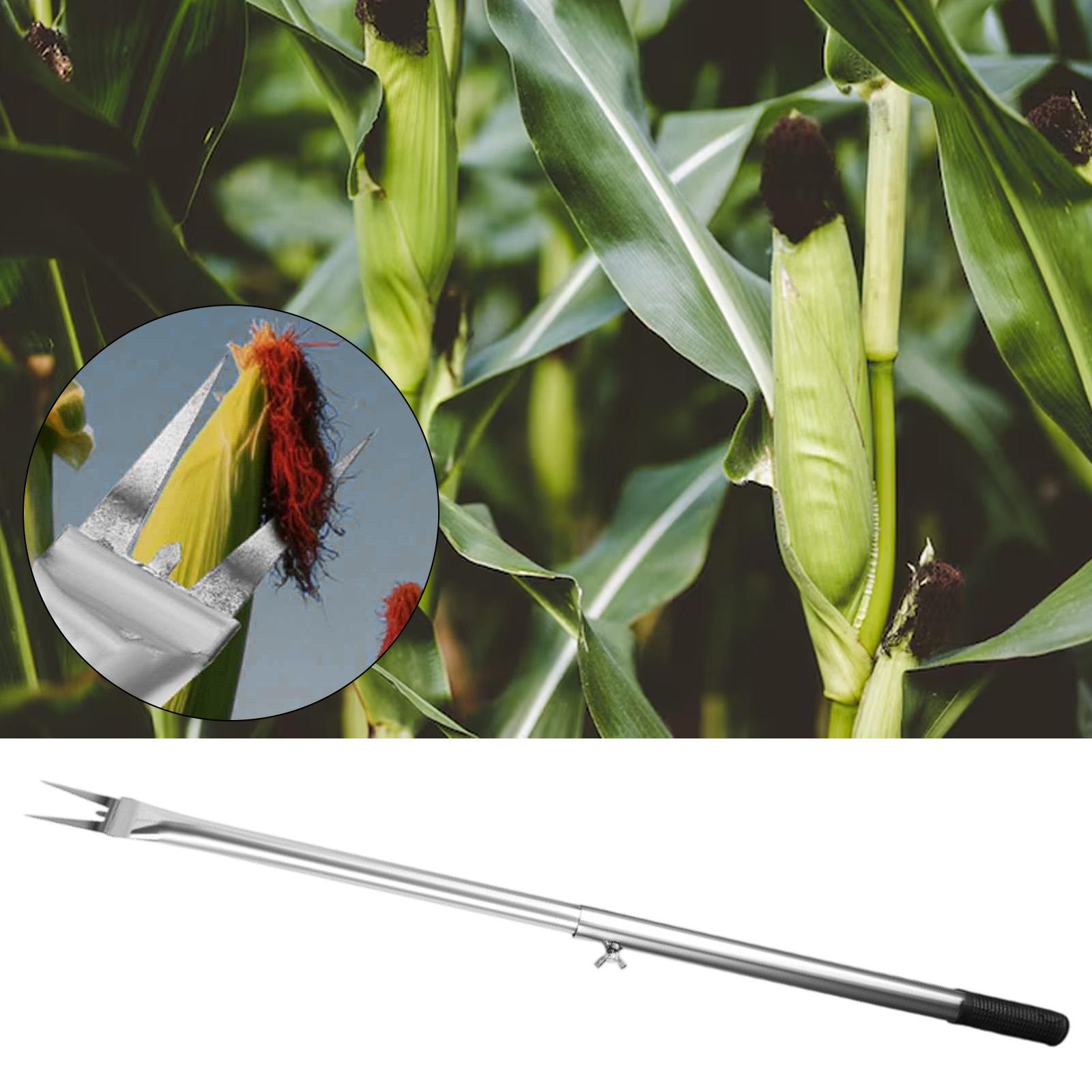 Corn Peeler Handle Remover Sha - Gardening Tools You Need avis et prix