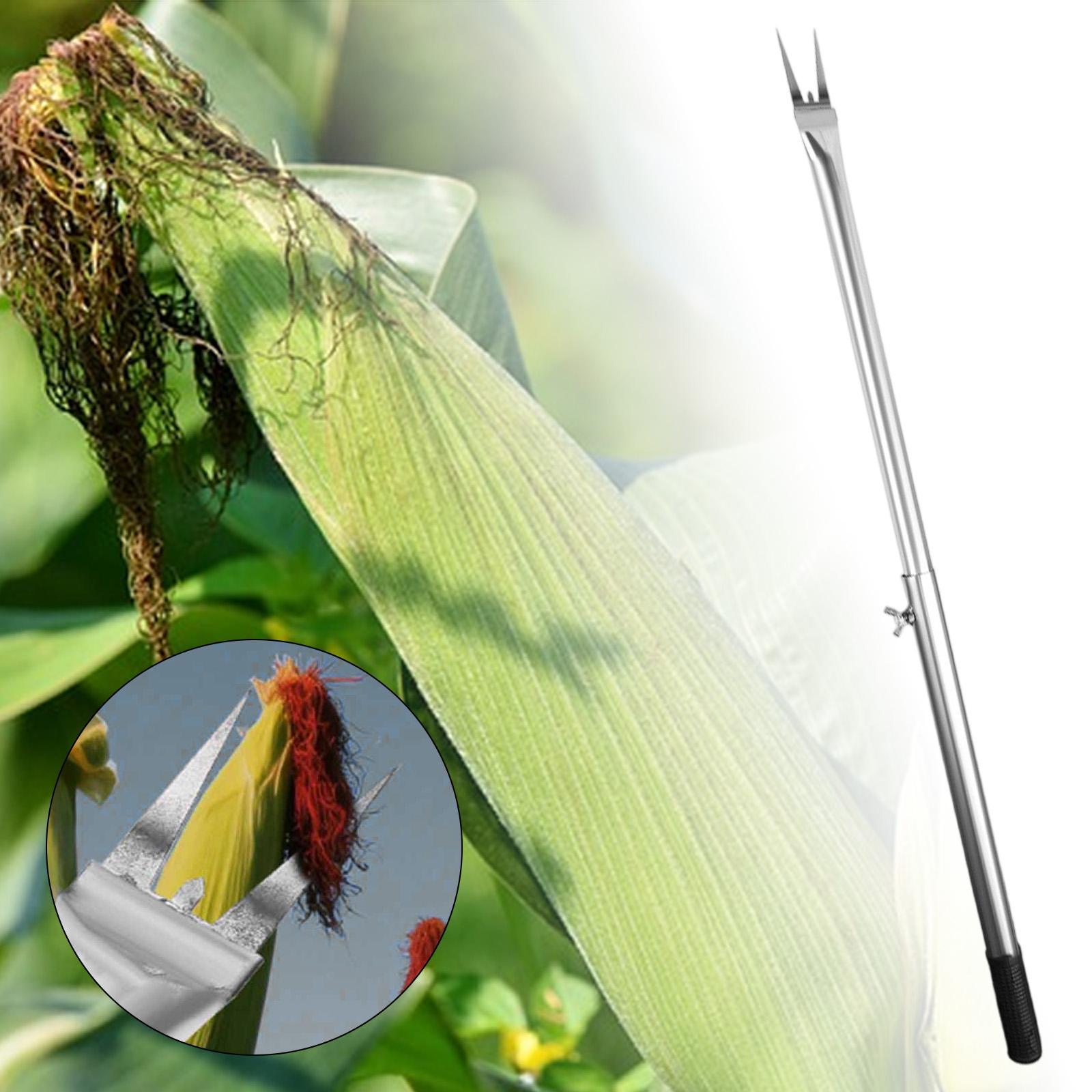 Corn Peeler Handle Remover Sha - Gardening Tools You Need avis et prix