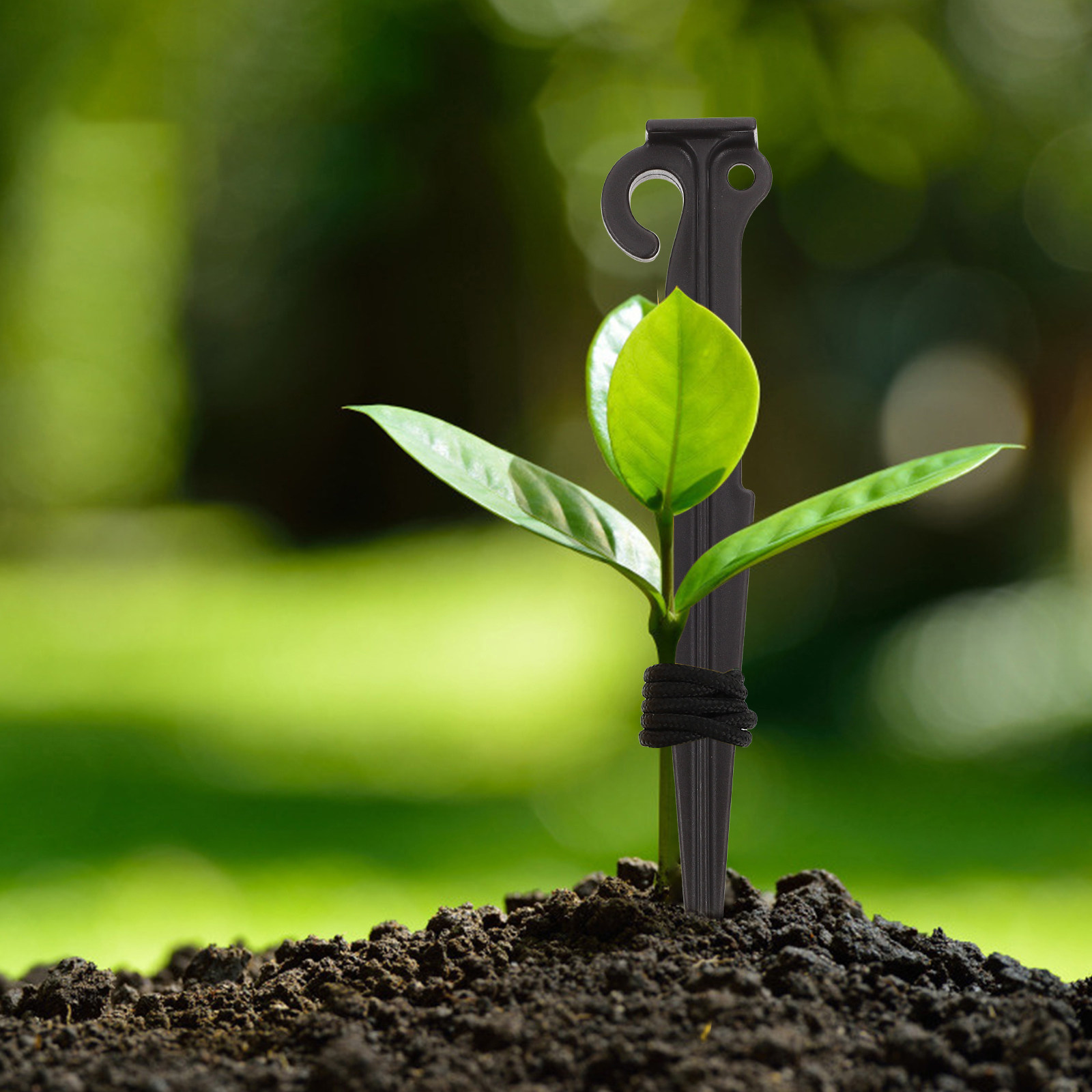 1Set Young Tree Staking Kit We - Plant Support Stake avis et prix