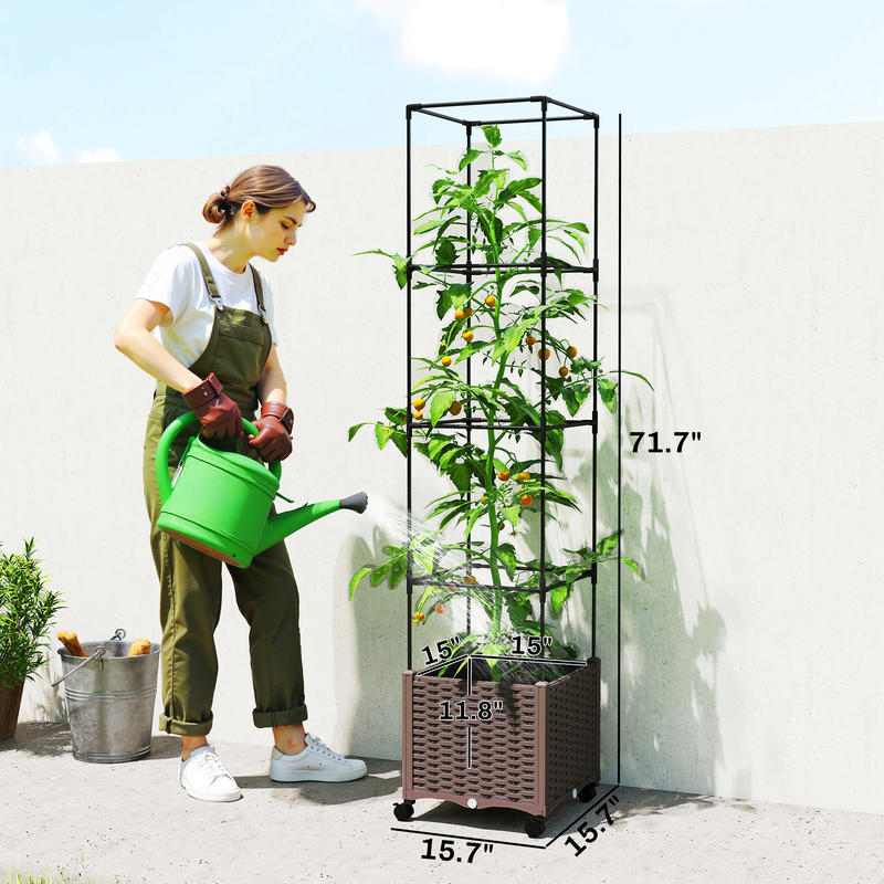 Raised Garden Bed with Trellis - Self-Watering Planter avis et prix