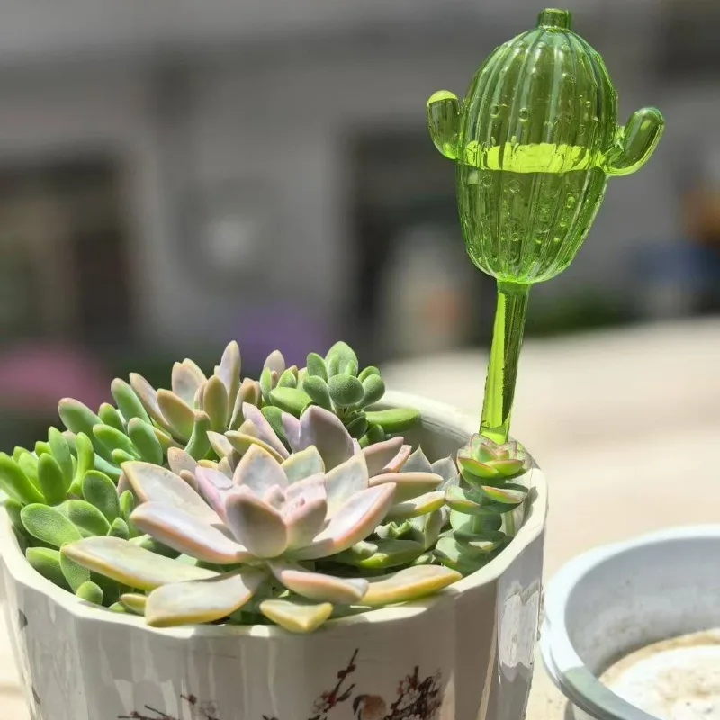 Unique Clear Plant Watering Ca - Gardening Tools Watering Can avis et prix