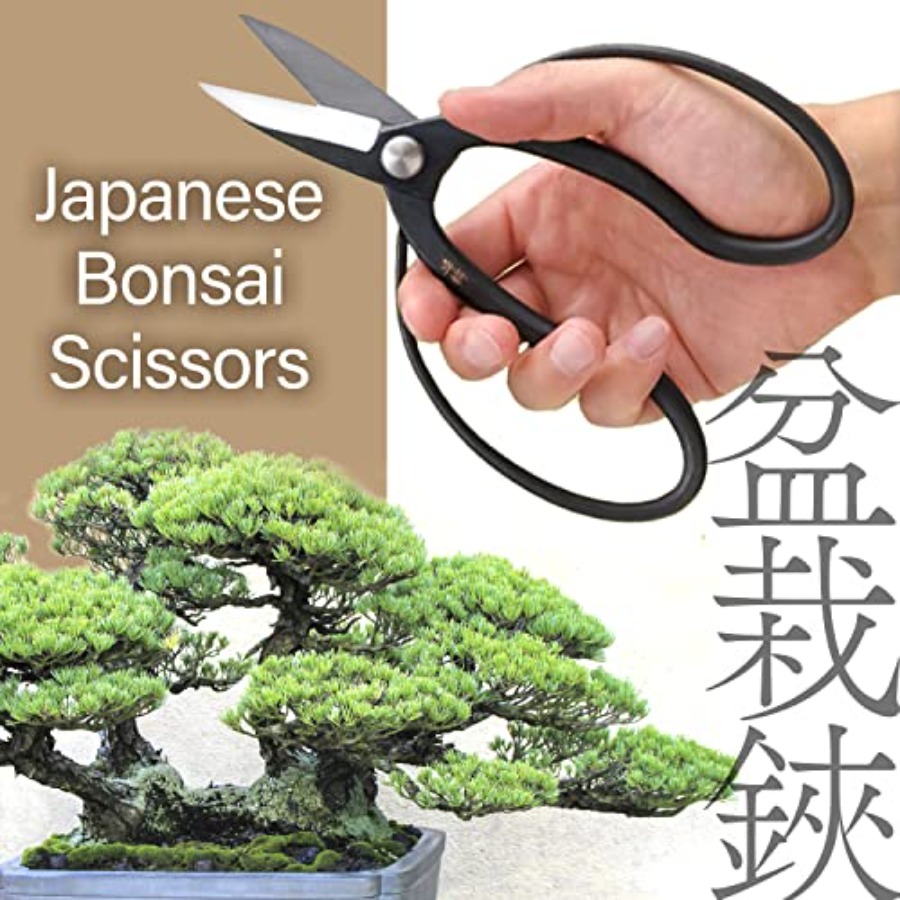 Japanese Suiryu Bonsai Scissor - Gardening Tools Made In Japan avis et prix
