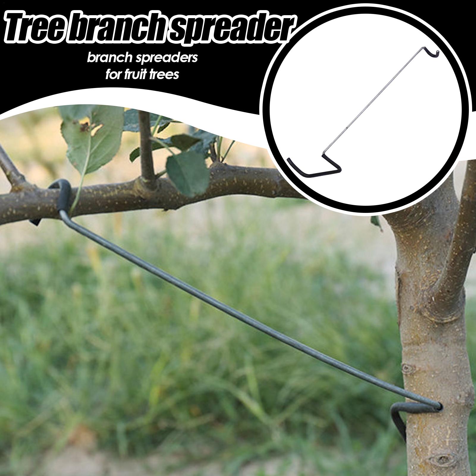 Fruit Tree Branch Spreader 10P - Gardening Tools Shop avis et prix