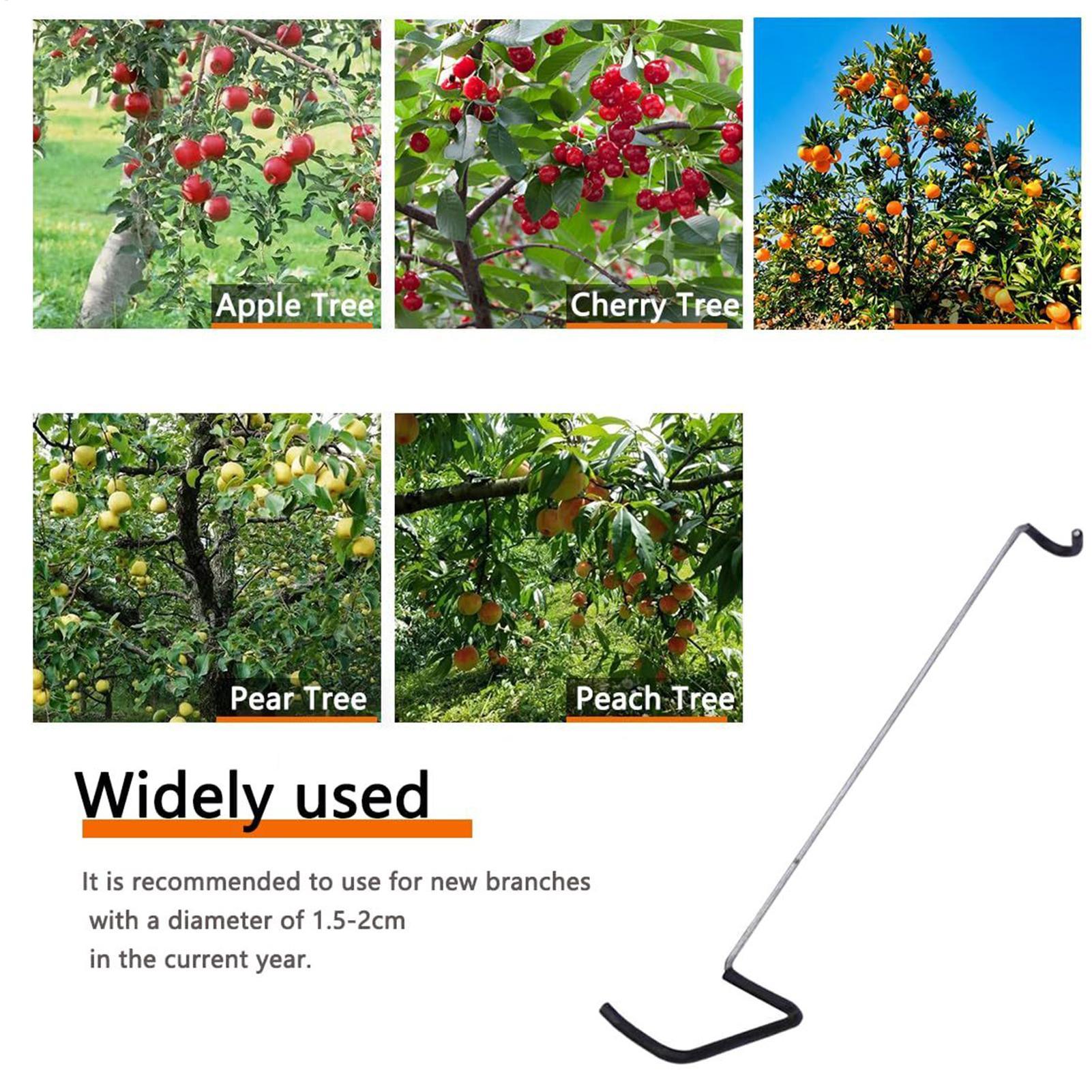Fruit Tree Branch Spreader 10P - Gardening Tools Shop avis et prix