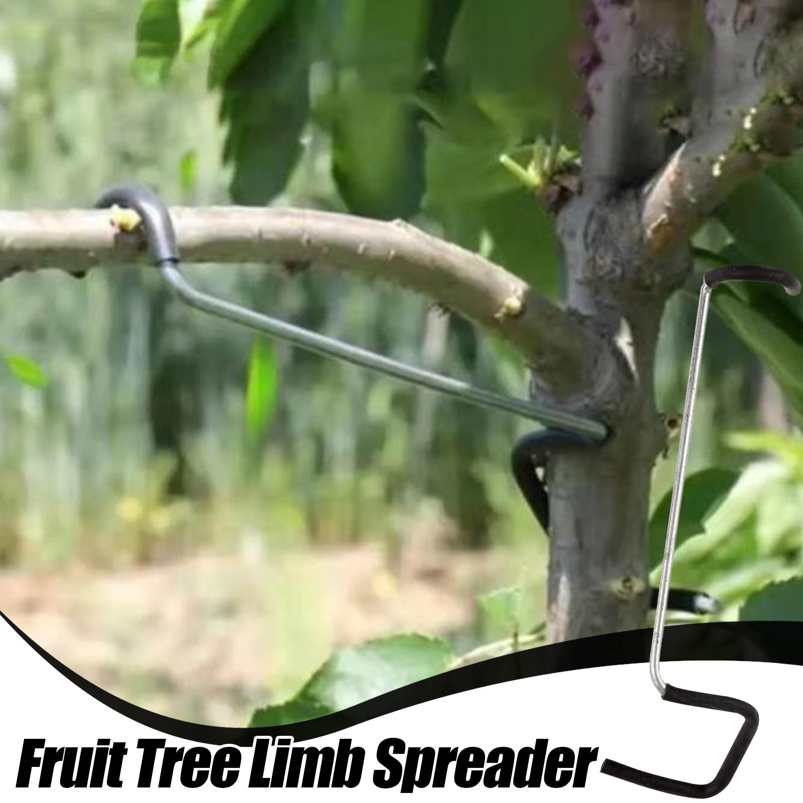 Fruit Tree Branch Spreader 10P - Gardening Tools Shop avis et prix