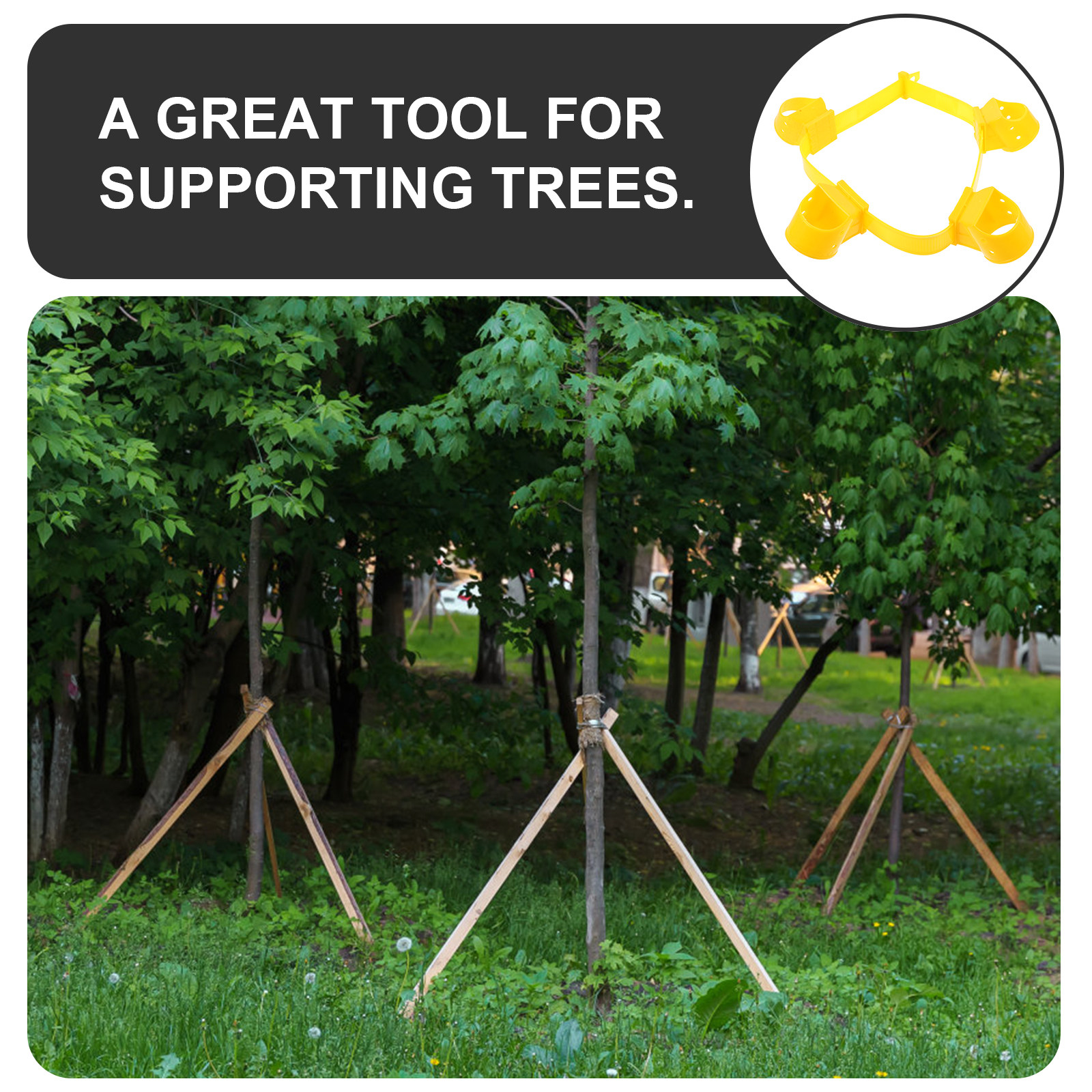 4Pcs Tree Stake and Support Sy - Plant Support Stake avis et prix