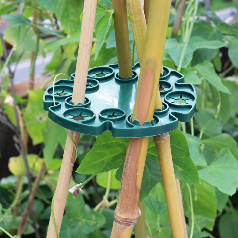 Garden Trellis Plastic Plant S - Plant Support Stake avis et prix