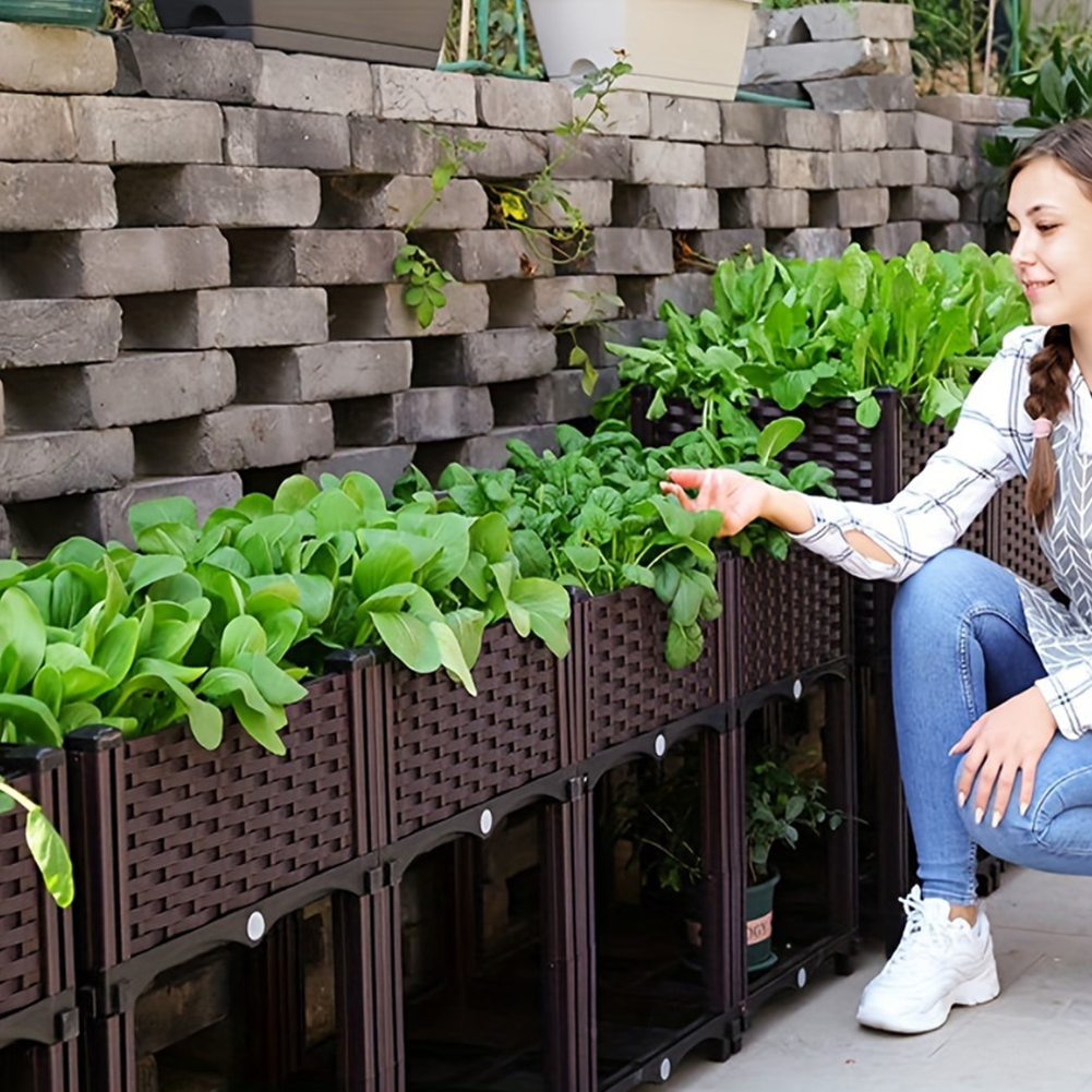 Raised Garden Bed Elevated Pla - Self-Watering Planter avis et prix