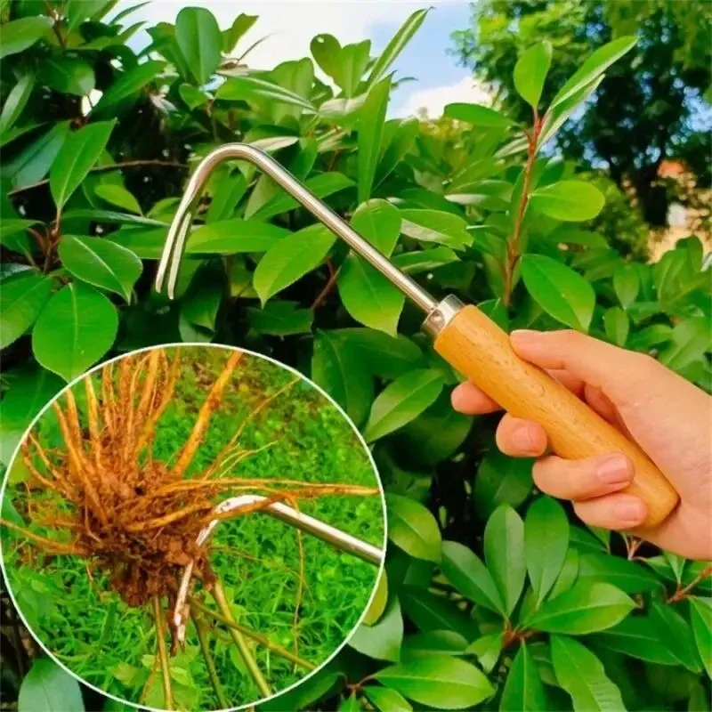 Stainless Steel Gardening Weed - Weed Puller avis et prix