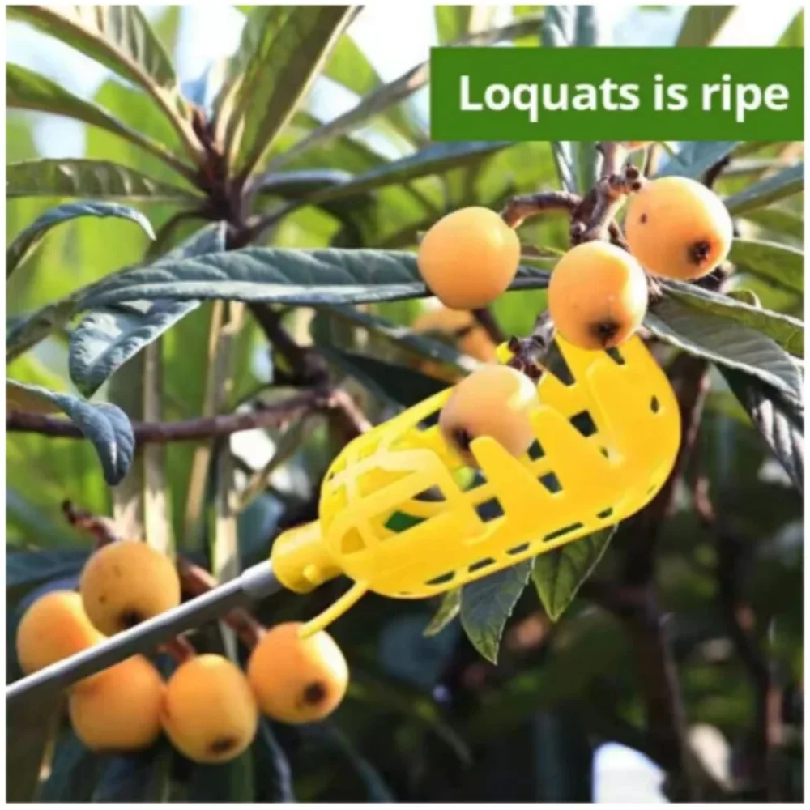 Farm Garden Picking Tools Frui - Gardening Tools Rack avis et prix